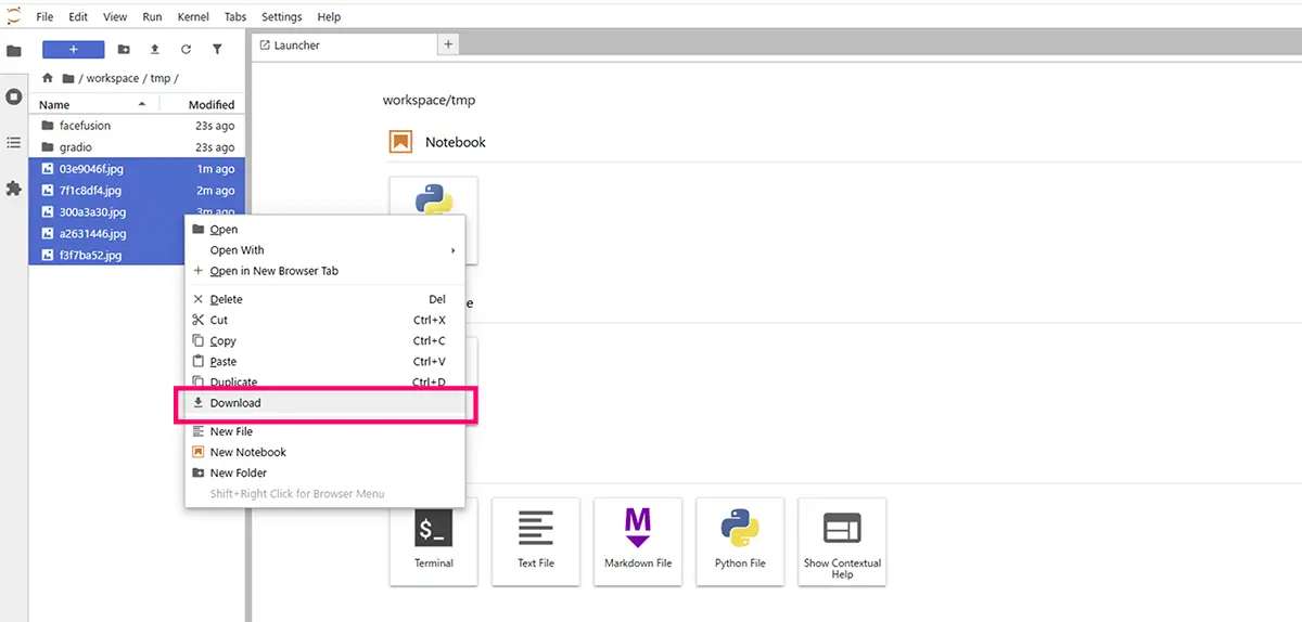 ComfyUIでの画像ファイルのダウンロード