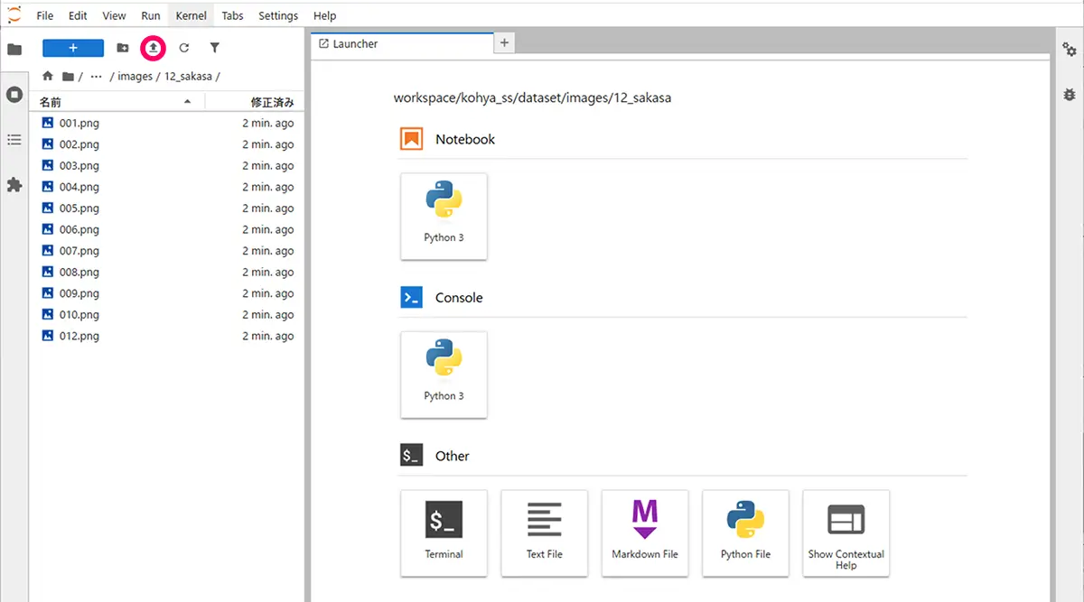 JupyterLabでファイルをアップロードする